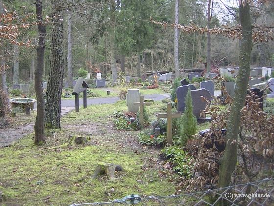 Blick vom Parkplatz auf einen Teil des gesperrten Waldfriedhofes.