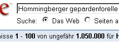 Ergebnis einer Suchanfrage bei Google