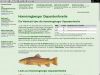 http://hommingberger-gepardenforelle.pyrokar.lima-city.de