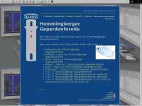 http://www.trokon.de/Hommingberger_Gepardenforelle.shtml