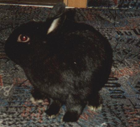 Merlin